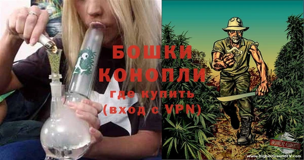 ГАЛЛЮЦИНОГЕННЫЕ ГРИБЫ Покачи